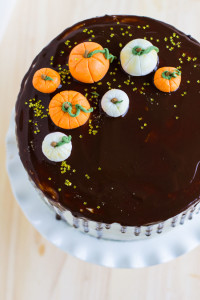 pumpkin chocolate cake